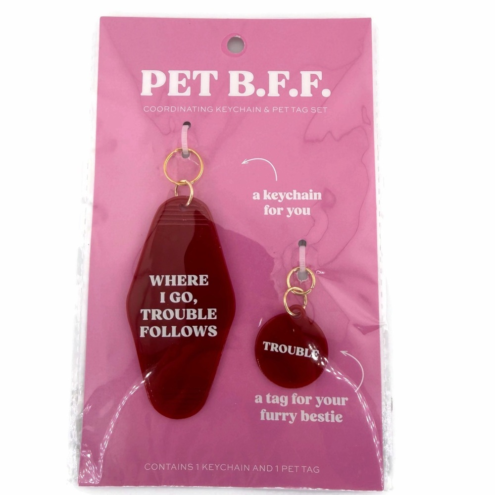 Spritz Pet BFF Coordinating Keychain and Pet Tag Set